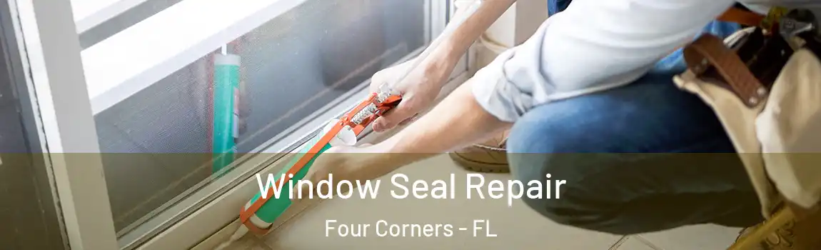  Window Seal Repair Four Corners - FL